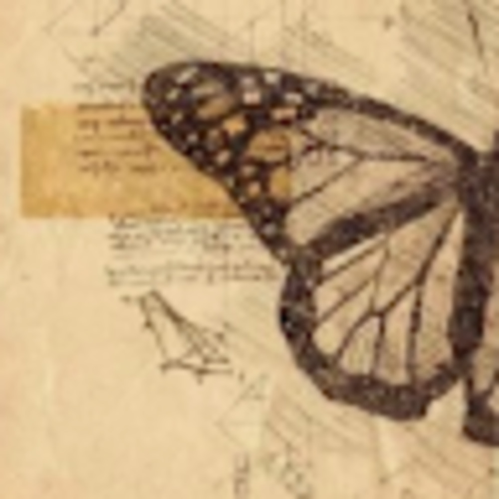 Meet your Posher, Mckenna